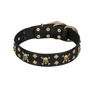 'Jolly Rojer' FDT Artisan English Bulldog Leather Dog Collar with Pirate Skulls and Studs