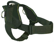 English Bulldog Nylon Dog Harness - H6 English Bulldog Nylon Dog Harness - H6
