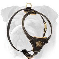 Tracking English Bulldog Puppy Leather Harness | Rustproof Hardware