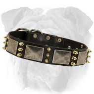 Spiked Leather English Bulldog Collar with Plates