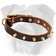 English Bulldog Spiked Leather Collar | Stylish Design