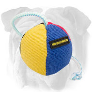 Training English Bulldog Toy with Durable String