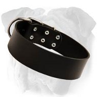 Reliable English Bulldog Wide Leather Collar