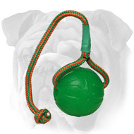 Water Floating Rubber English Bulldog Toy Water Floating Rubber English Bulldog Toy