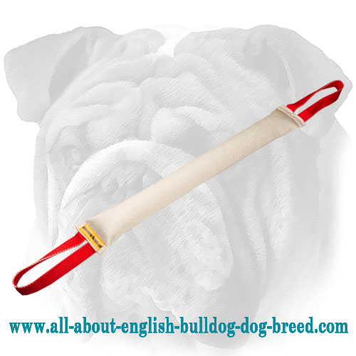 Fire Hose Dog Bite Tug With 2 Handles for English Bulldog