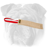 English Bulldog Jute Bite Tug for Puppy Training English Bulldog Jute Bite Tug for Puppy Training