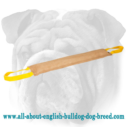 Leather English Bulldog Bite Tug for Bite Skills Development