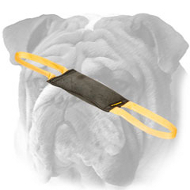 Solid Leather Bite Tug for English Bulldog