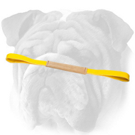 Soft Leather Bite Tug for English Bulldog Puppy Training