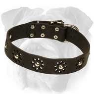 "Chic Goes Overboard" Genuine Leather English Bulldog Collar with Flowers
