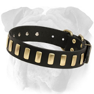 Elegant Decorated Leather English Bulldog Collar with Brass Plates Elegant Decorated Leather English Bulldog Collar with Brass Plates