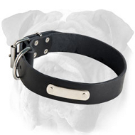 Wonderful Leather English Bulldog Collar with Blank ID Tag Wonderful Leather English Bulldog Collar with Blank ID Tag