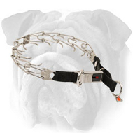 Stainless Steel English Bulldog Pinch Collar with Nylon Loop and Click Lock Buckle - 1/8 inch (3.2 mm) Stainless Steel English Bulldog Pinch Collar with Nylon Loop and Click Lock Buckle - 1/8 inch (3.2 mm)