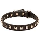 "Caterpillar" Leather English Bulldog Collar with Amazing Decoration