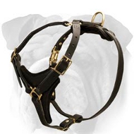 Black Leather Padded Tracking Harness for English Bulldog Black Leather Padded Tracking Harness for English Bulldog