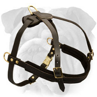 Lightweight Padded Leather English Bulldog Harness