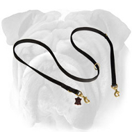 Fantastic English Bulldog Leash - Multitask Nylon Lead