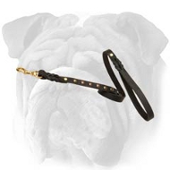 Fantastic Leather English Bulldog Leash with Brass Studs