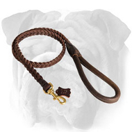 Delightful Braided Leather English Bulldog Leash with Round Handle