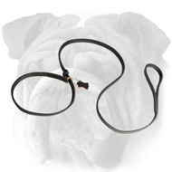 Leather Combo Leash for English Bulldog