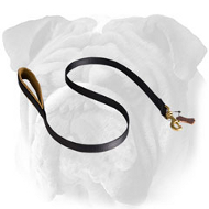 Superior Nylon English Bulldog Leash with Padded Handle