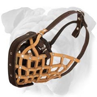 Professional Training English Bulldog Basket Muzzle of Genuine Leather
