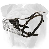 Lightweight Wire Basket Dog Muzzle for English Bulldog Lightweight Wire Basket Dog Muzzle for English Bulldog