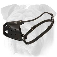 Everyday Leather English Bulldog Muzzle