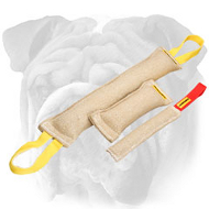 English Bulldog Set of Jute Bite Tugs for Basic Puppy Training English Bulldog Set of Jute Bite Tugs for Basic Puppy Training
