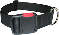Customize Flat Buckle Collar with quick release buckle Customize Flat Buckle Collar with quick release buckle