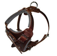 Hands Free Control Dog Harness for English Bulldog Hands Free Control Dog Harness for English Bulldog