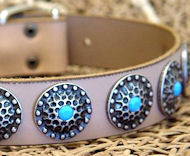 High Quality Dog Collars with blue stones English Bulldog High Quality Dog Collars with blue stones English Bulldog