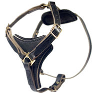 Latigo Adjustable Harness-English Bulldog Leather Harness Latigo Adjustable Harness-English Bulldog Leather Harness