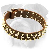 Leather English Bulldog Collar with Studs and Spikes