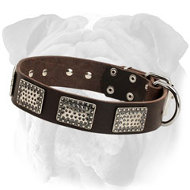 Wide Leather English Bulldog Collar with Nickel Plates
