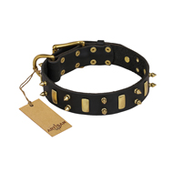 "Medieval Style" FDT Artisan Leather English Bulldog Collar with Brass Plates and Spikes