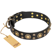 'Baroque Chic' FDT Artisan Studded Black Leather English Bulldog Collar