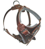 Medium dog Harness for English-Bulldog Leather Harness Medium dog Harness for English-Bulldog Leather Harness