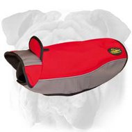 New Winter Comfy Dog Jacket For Your English Bulldog