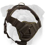 Nylon English Bulldog Harness with Cushion Chest Plate