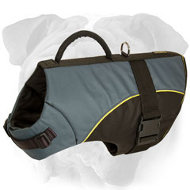 All Weather Nylon Dog Harness for English Bulldog