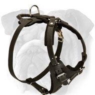 Leather Dog Harness for English Bulldog Attack Training and Walking