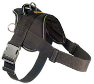 Looking for EzyDog Harness for English Bulldog Looking for EzyDog Harness for English Bulldog