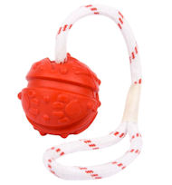 Everlasting Ball on a Rope for English Bulldog Everlasting Ball on a Rope for English Bulldog