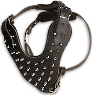 BUY Spike Dog Harness Manufacturers BUY Spike Dog Harness Manufacturers