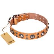 'Extra Sparkle' FDT Artisan English Bulldog Tan Leather Dog Collar