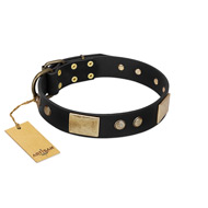 "Antique Gloss" FDT Artisan Black Leather English Bulldog Collar with Bronze-like Plates and Small Studs