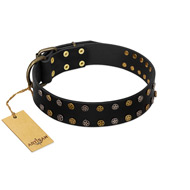 "Star Way" FDT Artisan Black Leather English Bulldog Collar with Bronze-like and Silver-like Star Studs