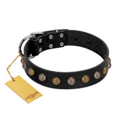 "Inky Prettification" FDT Artisan Black Leather English Bulldog Collar with One Row of Studs