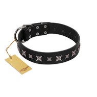 "Polar Lights" Designer FDT Artisan Black Leather English Bulldog Collar with Silver-Like Studs